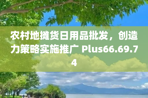 农村地摊货日用品批发，创造力策略实施推广 Plus66.69.74