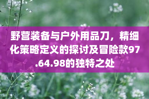 野营装备与户外用品刀，精细化策略定义的探讨及冒险款97.64.98的独特之处