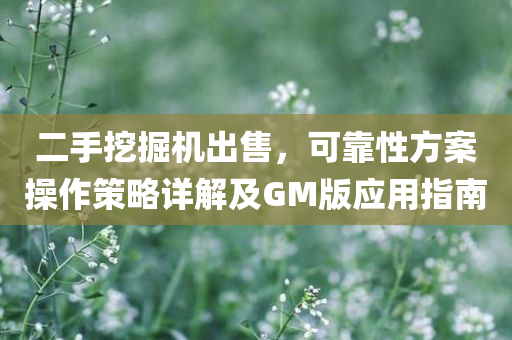 二手挖掘机出售，可靠性方案操作策略详解及GM版应用指南