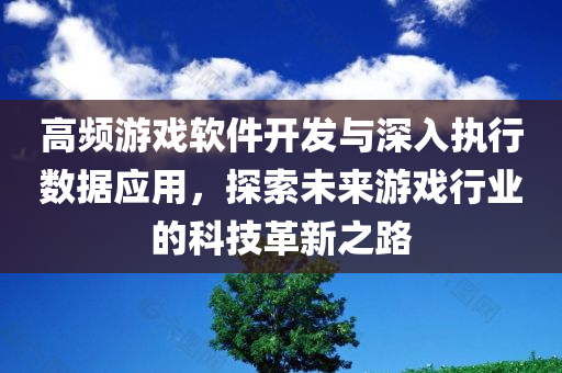 高频游戏软件开发与深入执行数据应用，探索未来游戏行业的科技革新之路