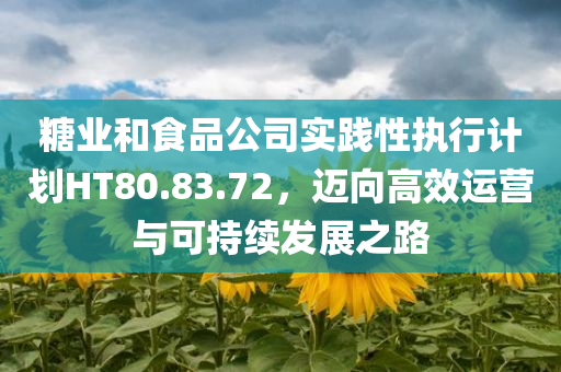 糖业和食品公司实践性执行计划HT80.83.72，迈向高效运营与可持续发展之路