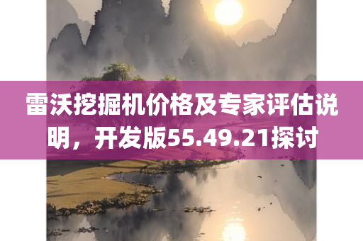 雷沃挖掘机价格及专家评估说明，开发版55.49.21探讨