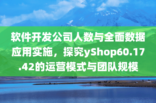 软件开发公司人数与全面数据应用实施，探究yShop60.17.42的运营模式与团队规模