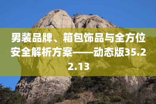 男装品牌、箱包饰品与全方位安全解析方案——动态版35.22.13