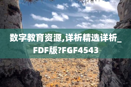 数字教育资源,详析精选详析_FDF版?FGF4543