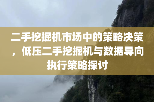 二手挖掘机市场中的策略决策，低压二手挖掘机与数据导向执行策略探讨