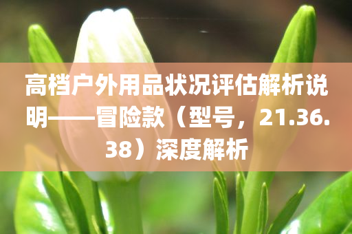 高档户外用品状况评估解析说明——冒险款（型号，21.36.38）深度解析