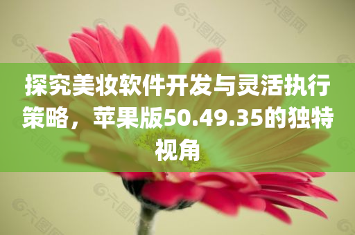 探究美妆软件开发与灵活执行策略，苹果版50.49.35的独特视角