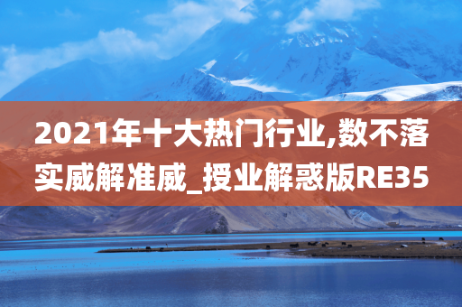 2021年十大热门行业,数不落实威解准威_授业解惑版RE35