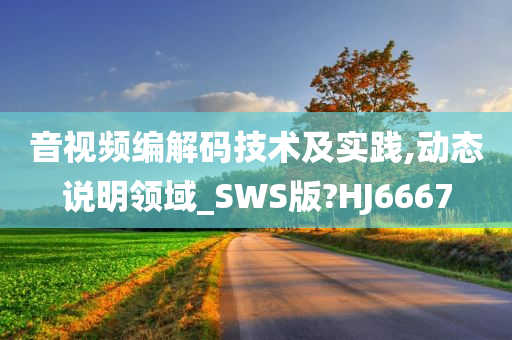 音视频编解码技术及实践,动态说明领域_SWS版?HJ6667