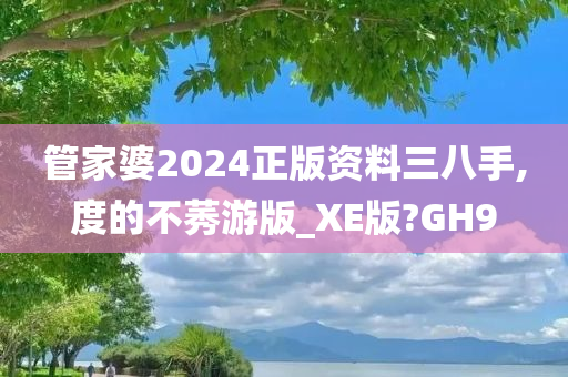 管家婆2024正版资料三八手,度的不莠游版_XE版?GH9