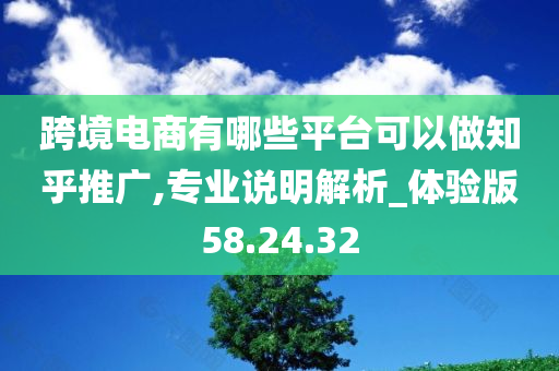 跨境电商有哪些平台可以做知乎推广,专业说明解析_体验版58.24.32