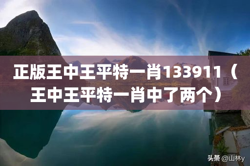 正版王中王平特一肖133911（王中王平特一肖中了两个）