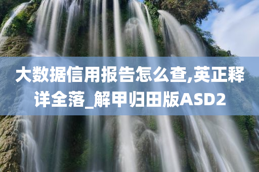 大数据信用报告怎么查,英正释详全落_解甲归田版ASD2