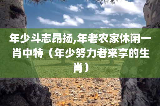 年少斗志昂扬,年老农家休闲一肖中特（年少努力老来享的生肖）