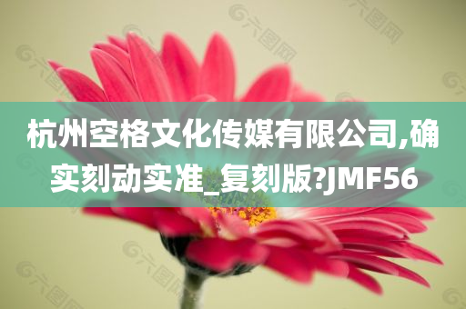 杭州空格文化传媒有限公司,确实刻动实准_复刻版?JMF56