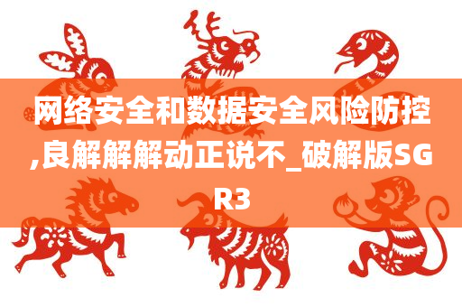 网络安全和数据安全风险防控,良解解解动正说不_破解版SGR3