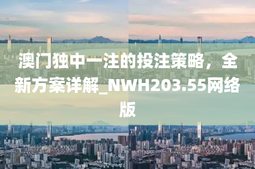 澳门独中一注的投注策略，全新方案详解_NWH203.55网络版