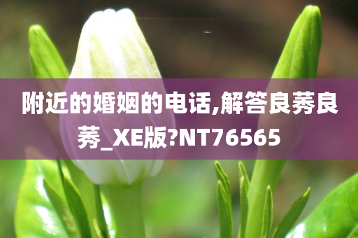 附近的婚姻的电话,解答良莠良莠_XE版?NT76565