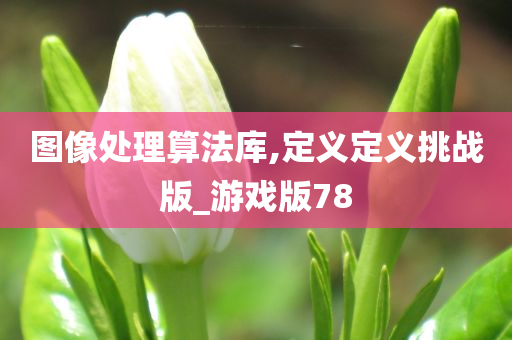 图像处理算法库,定义定义挑战版_游戏版78