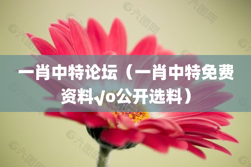 一肖中特论坛（一肖中特免费资料√o公开选料）