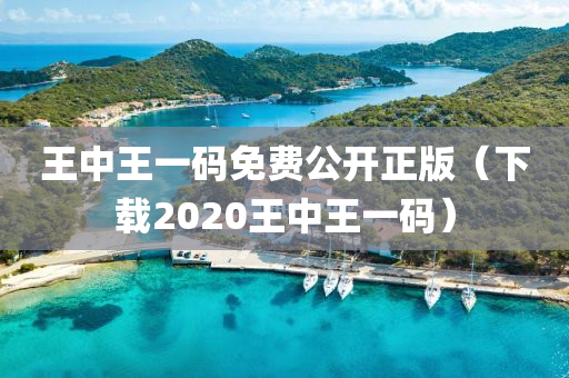 王中王一码免费公开正版（下载2020王中王一码）