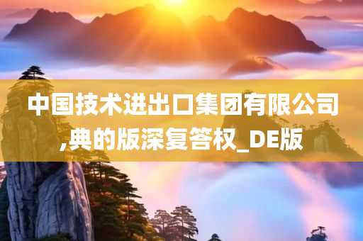 中国技术进出口集团有限公司,典的版深复答权_DE版