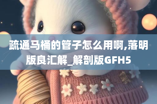 疏通马桶的管子怎么用啊,落明版良汇解_解剖版GFH5