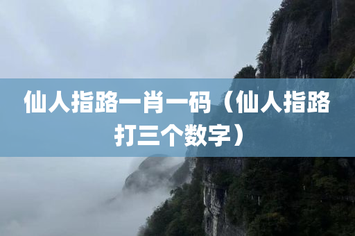 仙人指路一肖一码（仙人指路打三个数字）