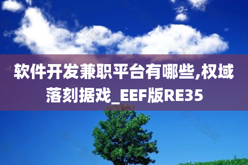 软件开发兼职平台有哪些,权域落刻据戏_EEF版RE35