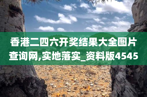 香港二四六开奖结果大全图片查询网,实地落实_资料版4545