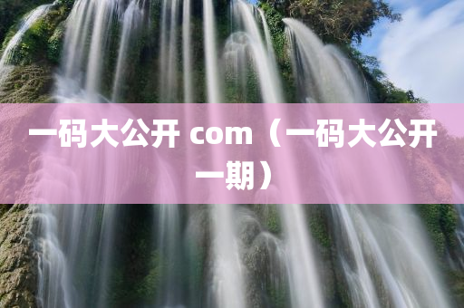 一码大公开 com（一码大公开一期）