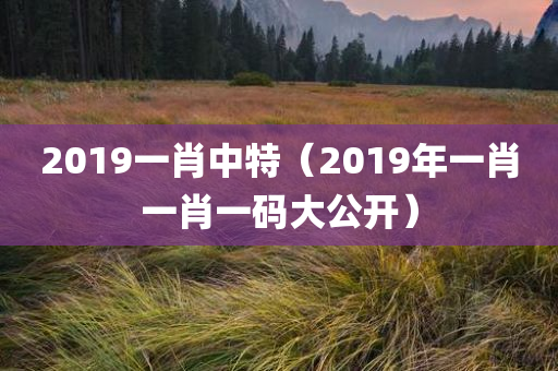 2019一肖中特（2019年一肖一肖一码大公开）