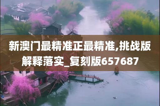 新澳门最精准正最精准,挑战版解释落实_复刻版657687