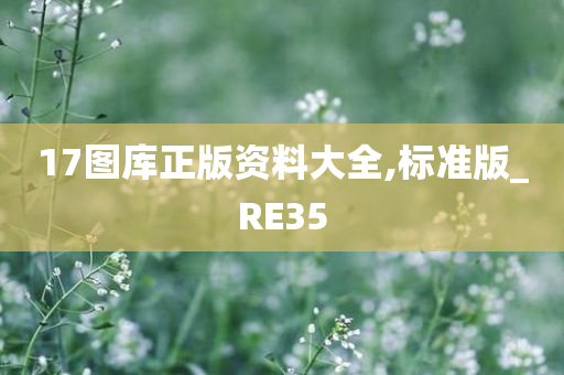 17图库正版资料大全,标准版_RE35