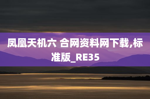 凤凰天机六 合网资料网下载,标准版_RE35