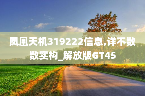 凤凰天机319222信息,详不数数实构_解放版GT45