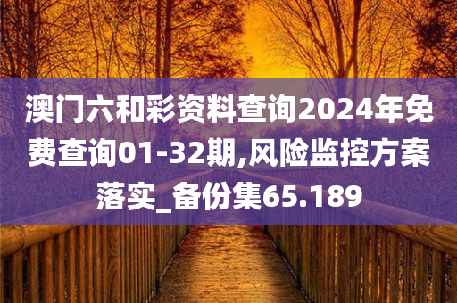 澳门六和彩资料查询2024年免费查询01-32期,风险监控方案落实_备份集65.189