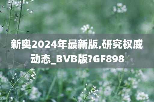 新奥2024年最新版,研究权威动态_BVB版?GF898