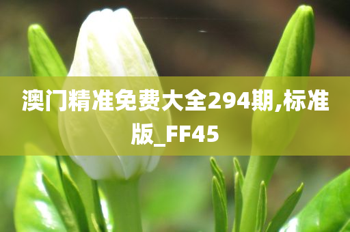 澳门精准免费大全294期,标准版_FF45