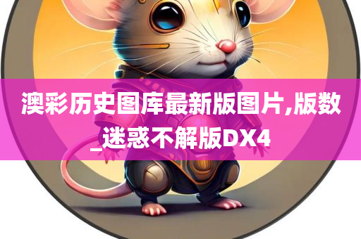 迷惑不解版DX4