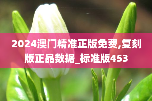 2024澳门精准正版免费,复刻版正品数据_标准版453