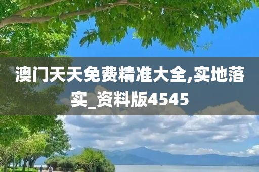 澳门天天免费精准大全,实地落实_资料版4545