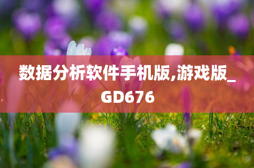 数据分析软件手机版,游戏版_GD676