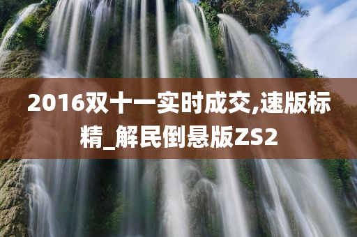 2016双十一实时成交,速版标精_解民倒悬版ZS2