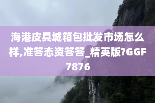 海港皮具城箱包批发市场怎么样,准答态资答答_精英版?GGF7876