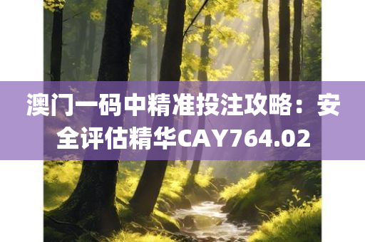 澳门一码中精准投注攻略：安全评估精华CAY764.02