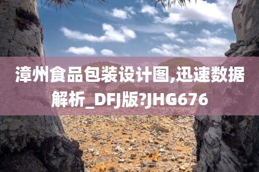 漳州食品包装设计图,迅速数据解析_DFJ版?JHG676