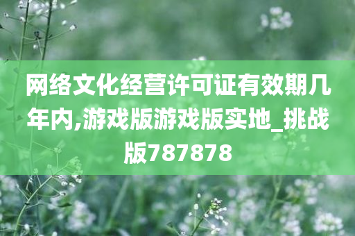 网络文化经营许可证有效期几年内,游戏版游戏版实地_挑战版787878