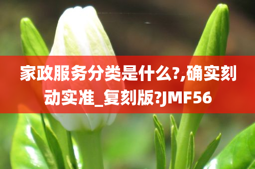 家政服务分类是什么?,确实刻动实准_复刻版?JMF56